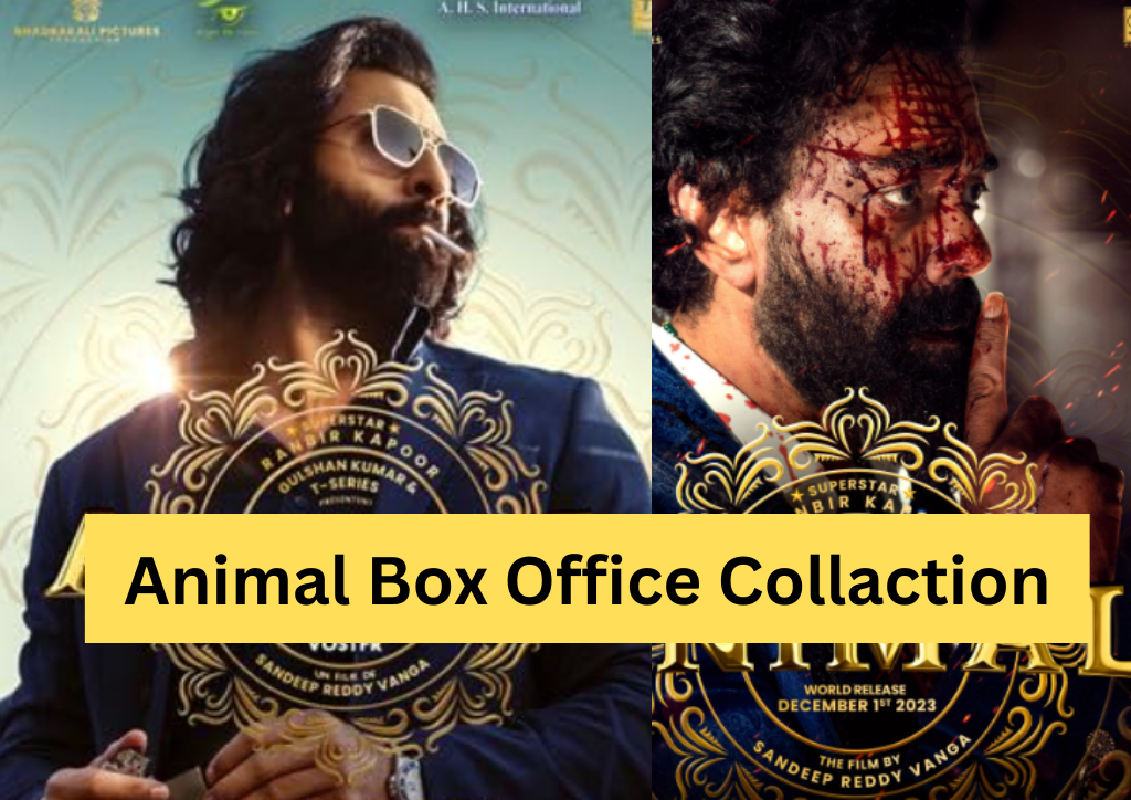 Animal Movie Box Office Collection