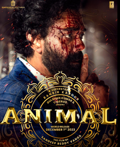 Animal Movie Box Office Collection